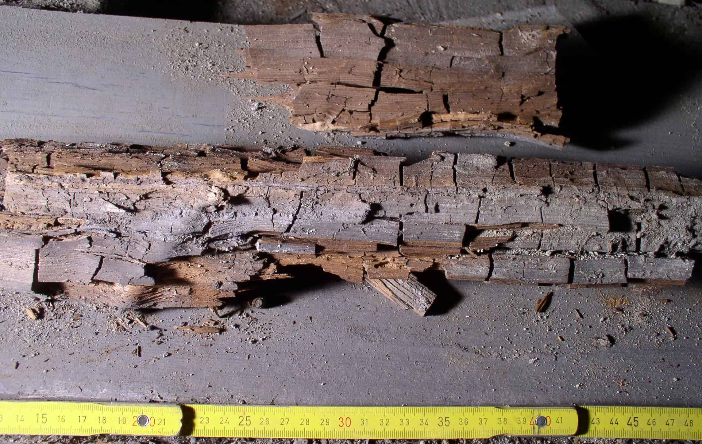 Cuboidal cracking of timber caused by dry rot