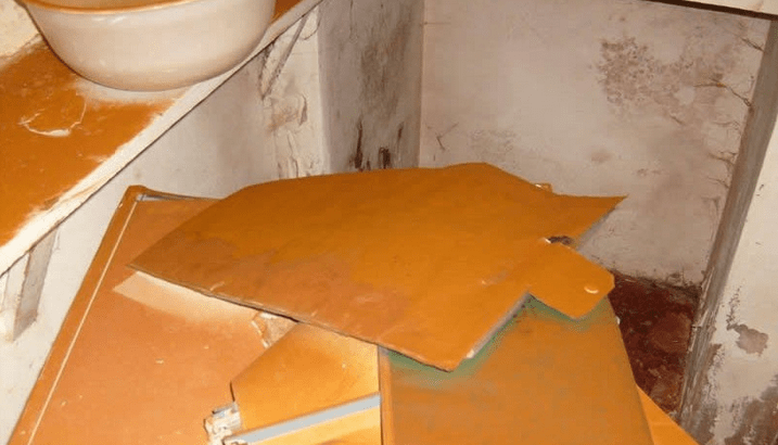 Orange dry rot spores  from a dry rot fruiting body