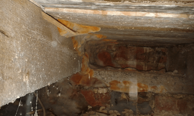 Dry rot outbreak Dry rot outbreak