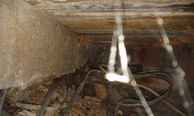 Dry rot outbreak Dry rot outbreak