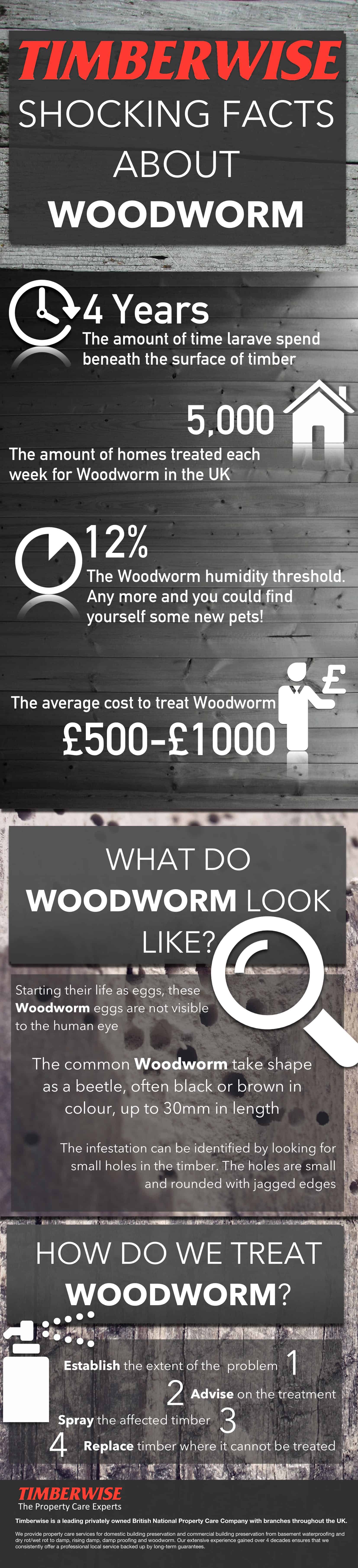 Woodworm