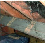 Active woodworm (common furniture beetle) damage