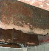 Woodworm (Common furniture beetle) damage to first floor joist