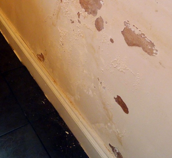 Check Walls For Signs Of Damp