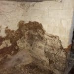 Closeup of dry rot fungi forming on walls in corner of wine cellar in property