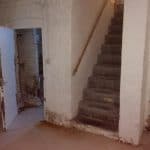 Stairway to wine cellar in need of dry rot treatment