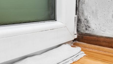 Condensation formed in cellar with early signs of black mould spots