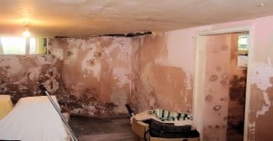 Before Basement Waterproofing procedure has started