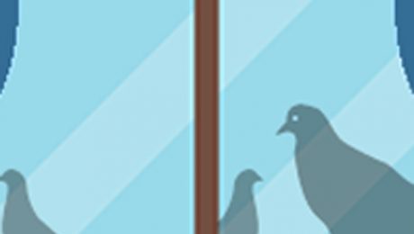 Birds out side the window Graphic of birds out side the window