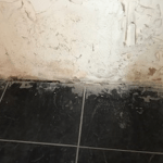 Damaged plaster on an interior wall