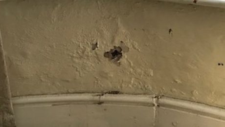 Damaged plaster on an interior wall