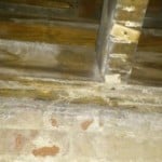 Closeup of dry rot affected roof beams in Lancaster church