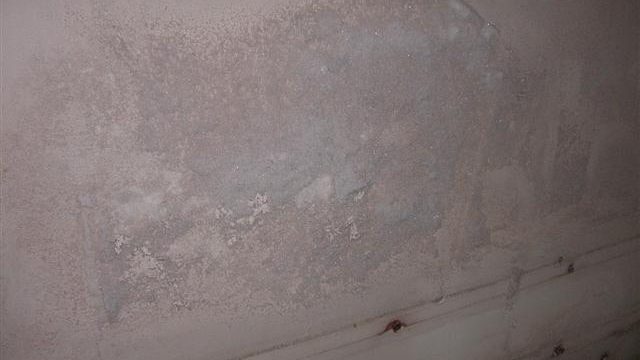 Closeup of salts on an internal wall
