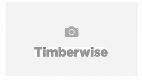 Timberwise brand with a camera