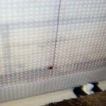 Cavity Drain Membrane