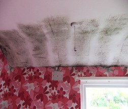 Condensation on walls