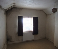 damp and mould on walls