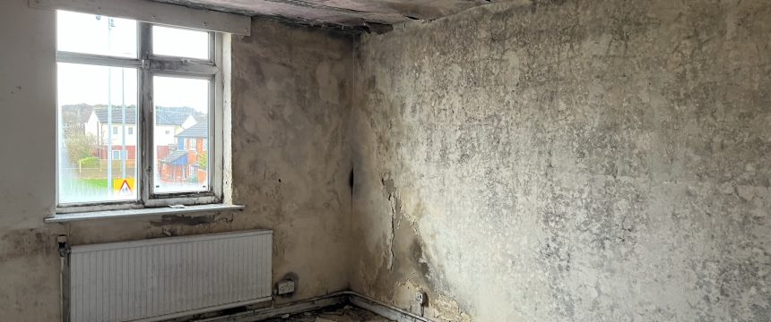 A properties walls covered in black mould due to condensation