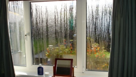 Condensation forming on a window