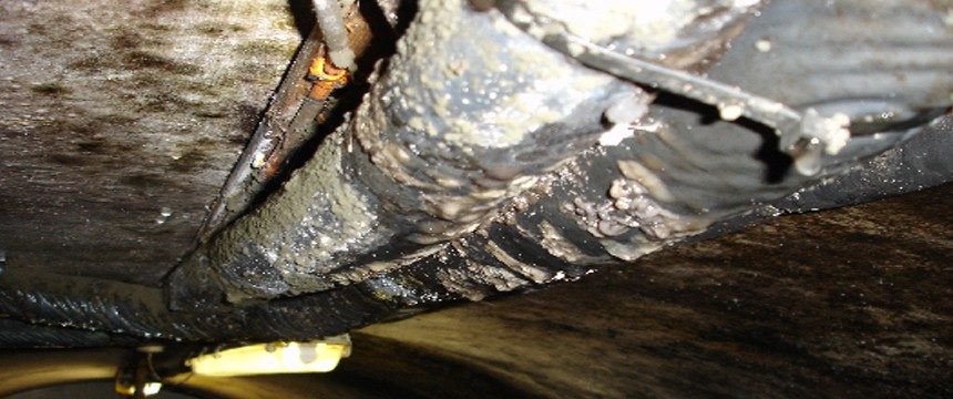 Condensation droplets on piping in loft