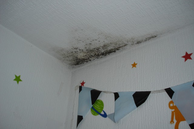 Black spot mould in bedroom