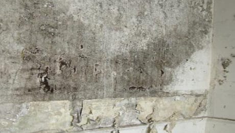 Closeup of condensation and black mould on interior wall