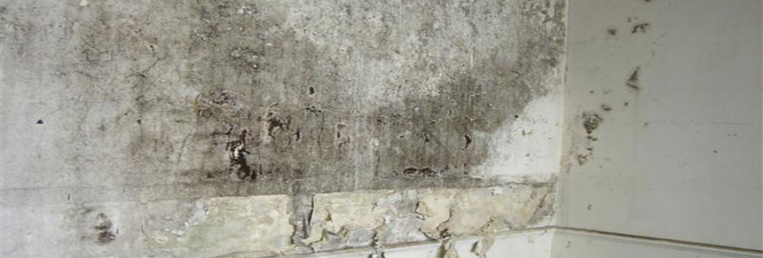 Closeup of condensation and black mould on interior wall
