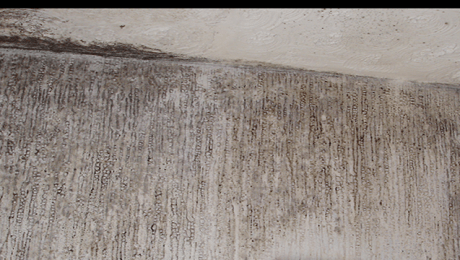 Wall with black mould growing on it