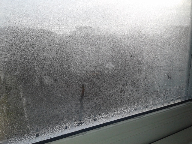 Condensation on a window inside a property
