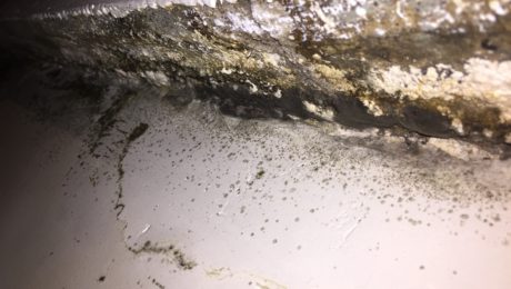 Damp and black mould formed on windowsill