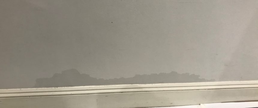 Damp beginning to show through paint on ceiling