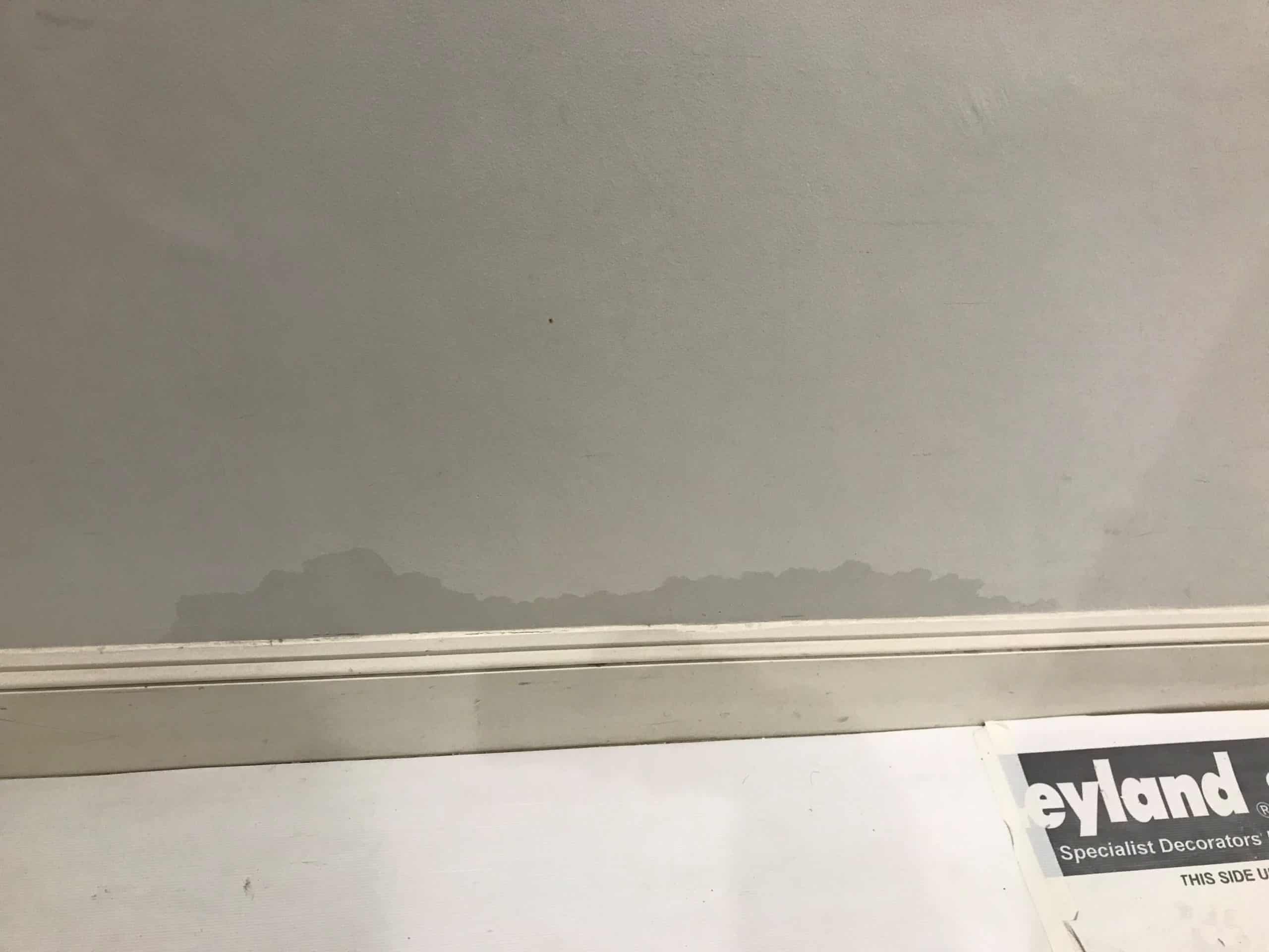 Damp beginning to show through paint on ceiling