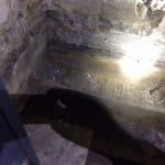 Wooden joists showing signs of fungal decay