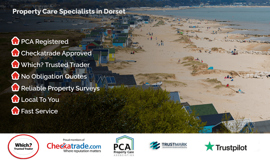 Header image for Dorset location page