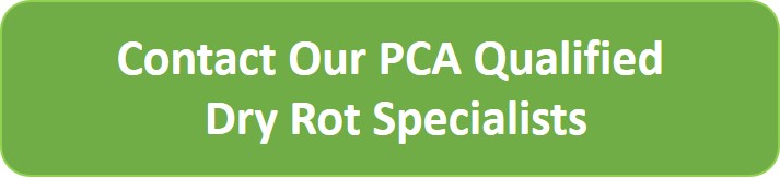 Dry Rot Specialist CTA