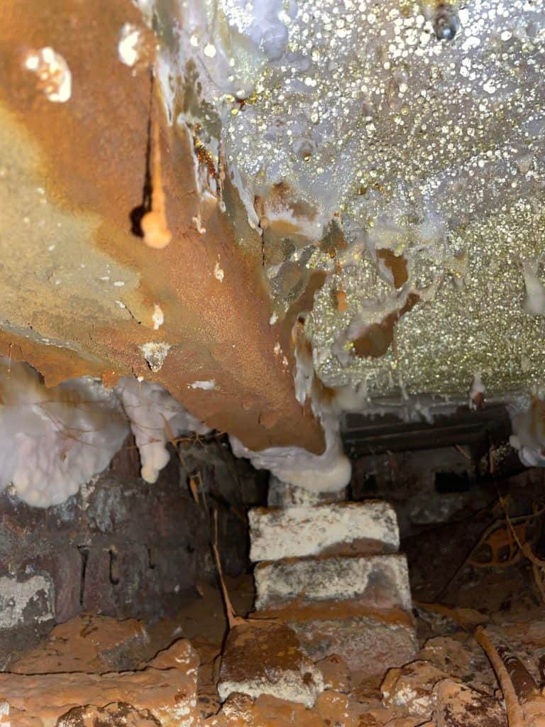 An outbreak of dry rot underneath a properties floorboards