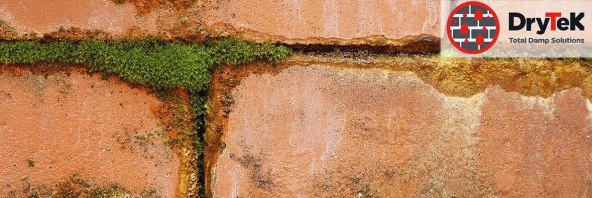 DryTek Penetrating Damp Solutions