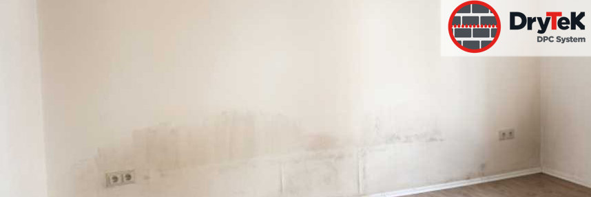 Rising damp showing on interior wall