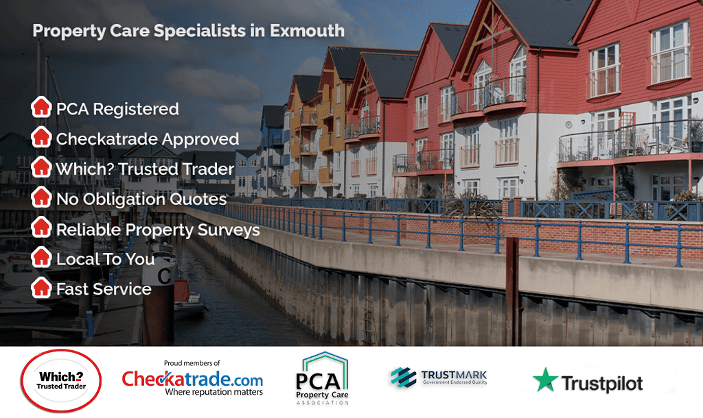 Header image for Exmouth location page