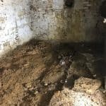 Inside a basement area Inside a basement area