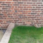 Ground levels above ground level Ground levels above ground level