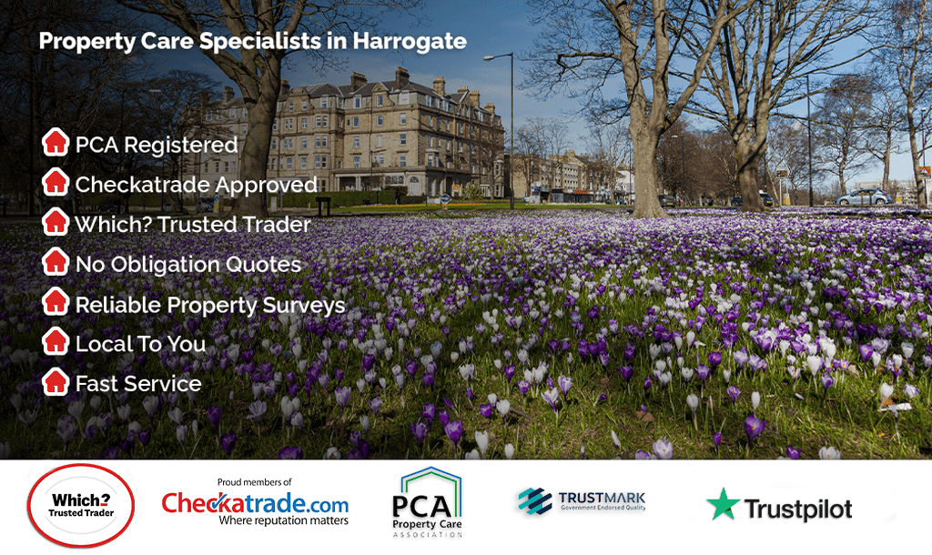 Header image for Harrogate location page