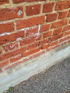 Salting on an exterior wall