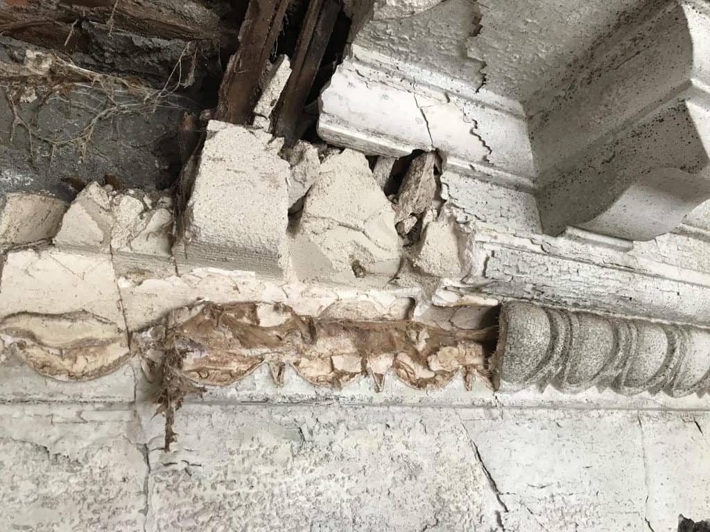Damaged plaster as a result of dry rot