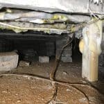 Sub Floor Void dry rot outbreak Sub Floor Void dry rot outbreak