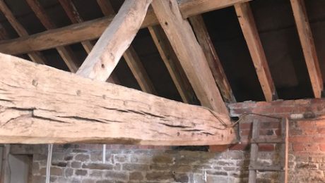 Timber ceiling beam with signs of woodworm