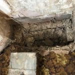 Damage to timbers underneath floorboards Damage to timbers underneath floorboards