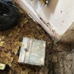 Carpet removed to show exposed floorboards Carpet removed to show exposed floorboards