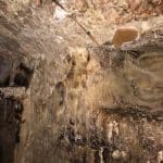 A basement covered in dry rot A basement covered in dry rot