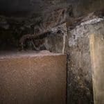 Dry rot attacking pipework in a basement Dry rot attacking pipework in a basement